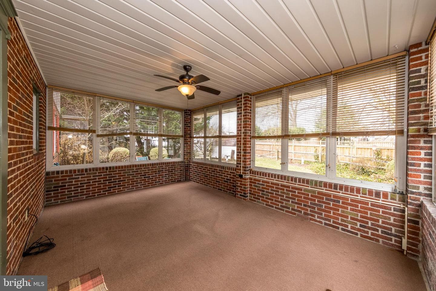 4300 Camellia photo 20
