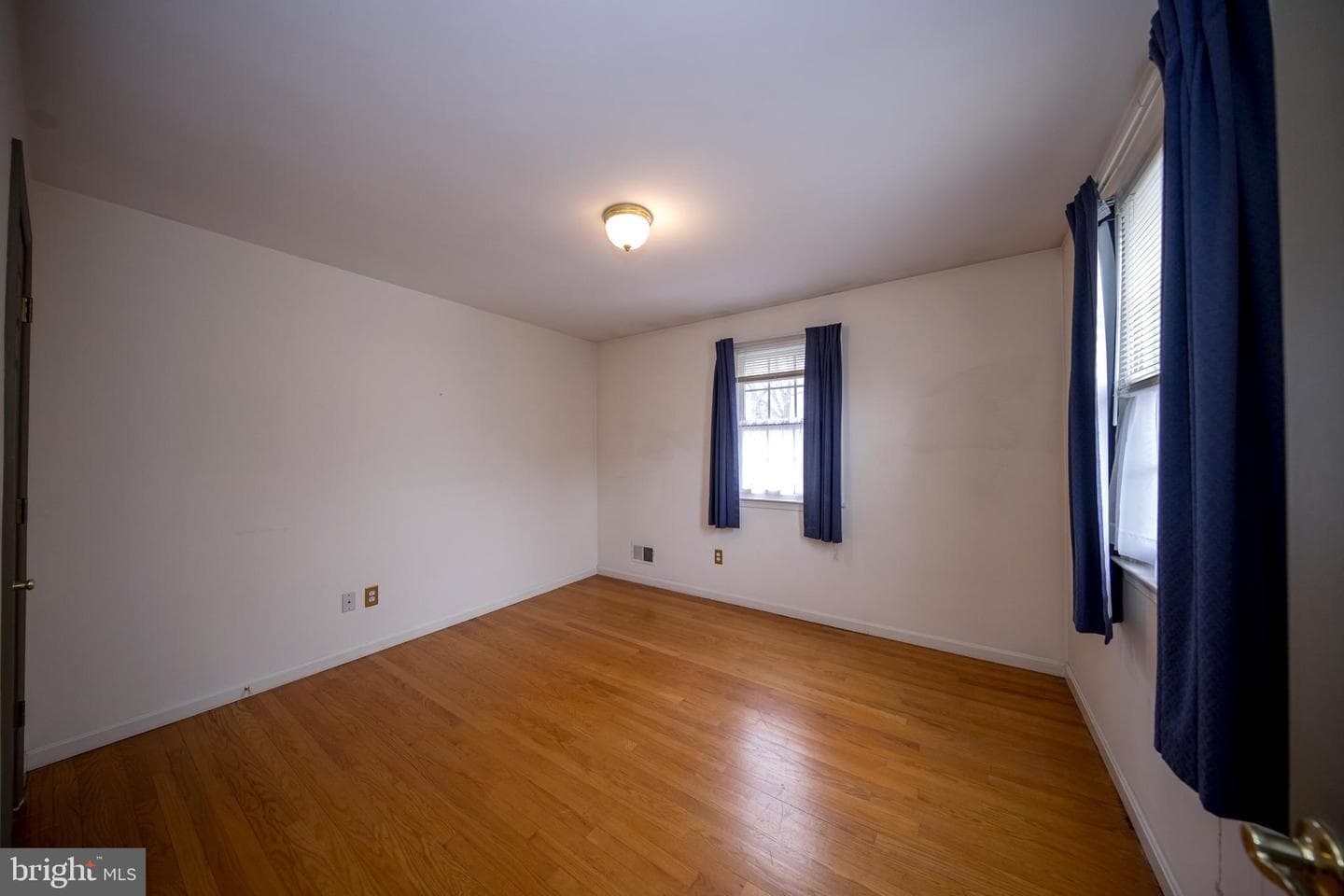 4300 Camellia photo 31