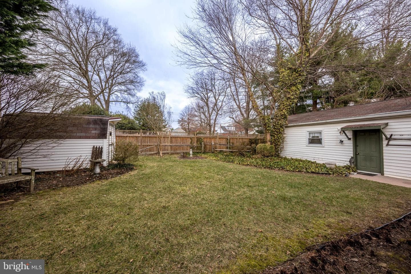 4300 Camellia photo 45