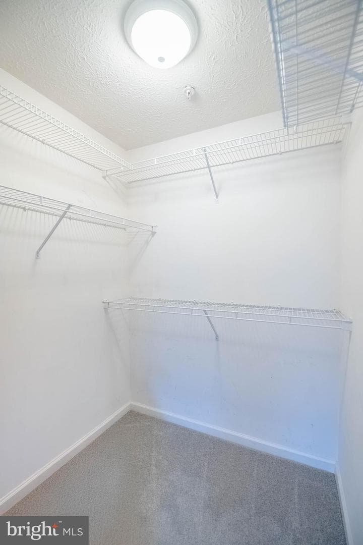 4741 Shellbark Road #4741 photo 20