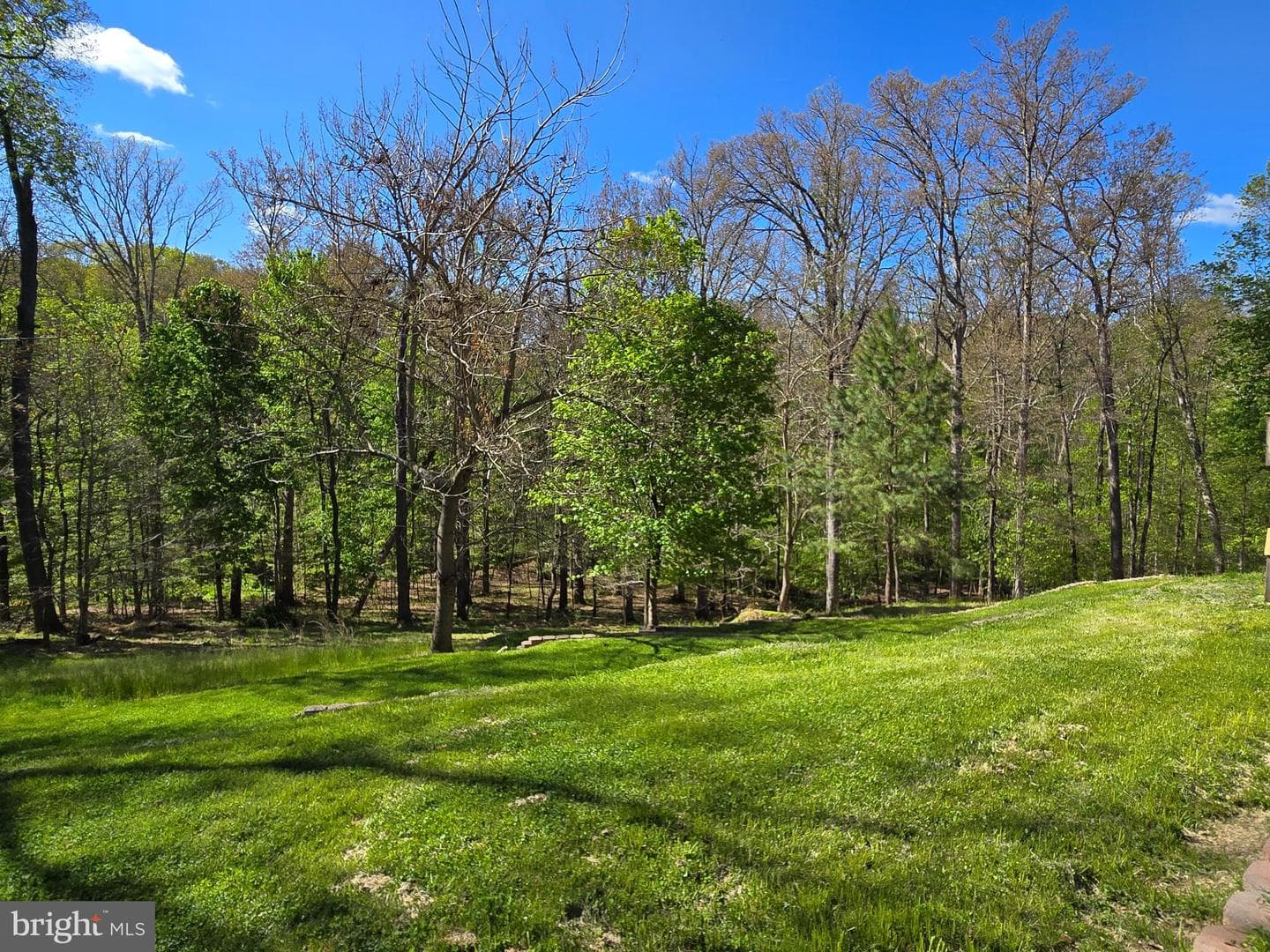 13 Brian Daniel Ct photo 55