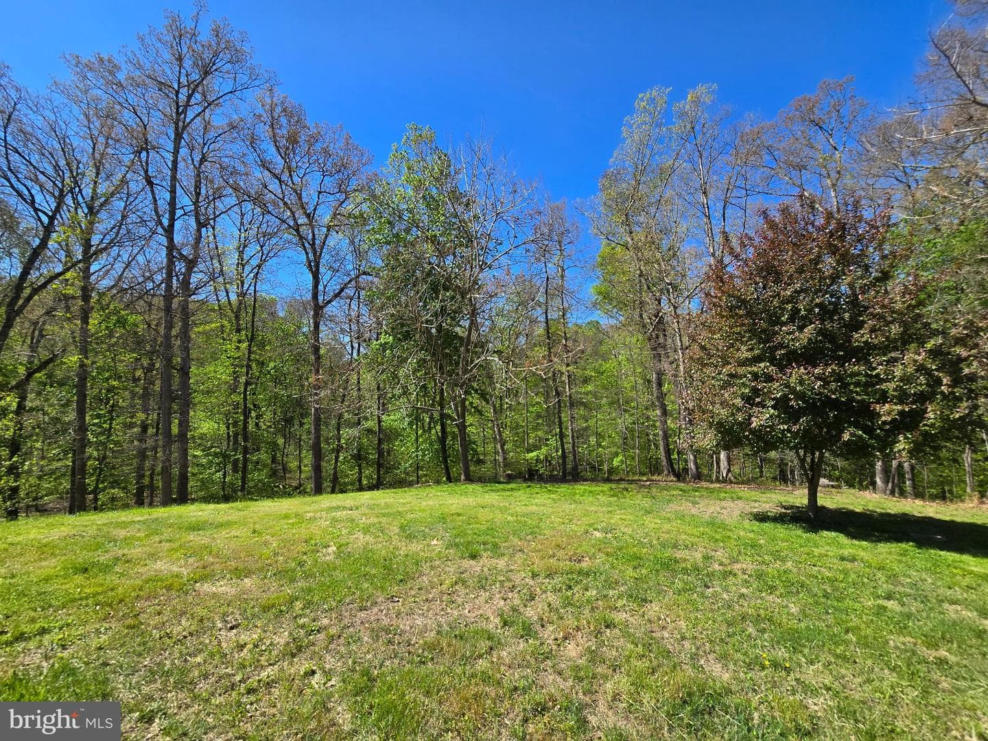 13 Brian Daniel Ct photo 58