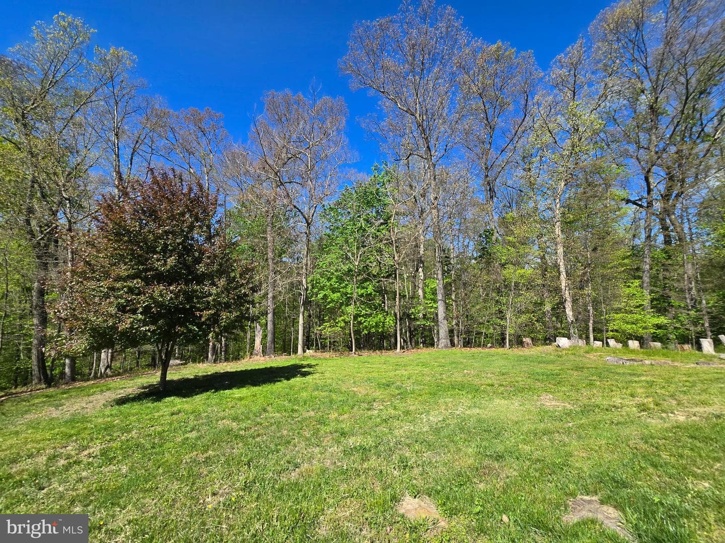 13 Brian Daniel Ct photo 59