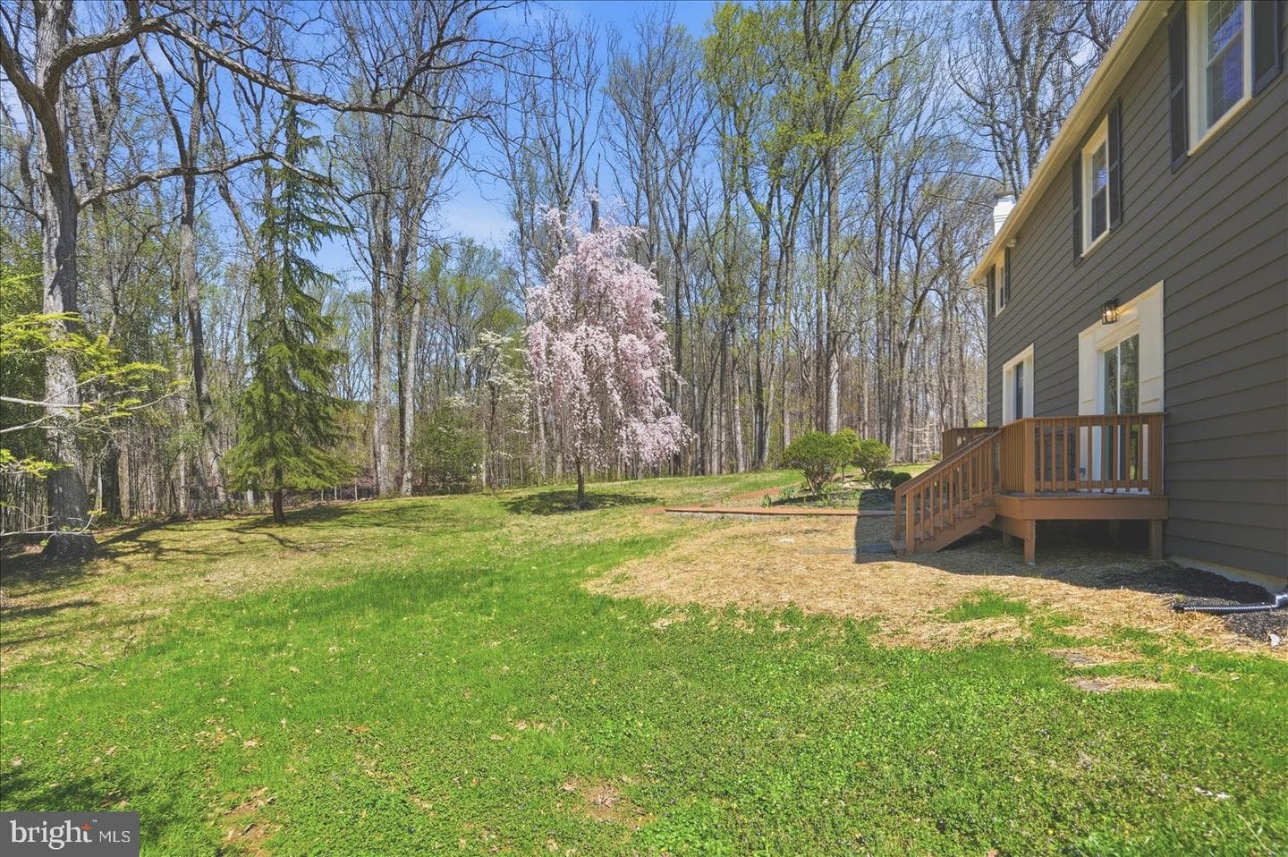 10634 Park Heights Avenue photo 49