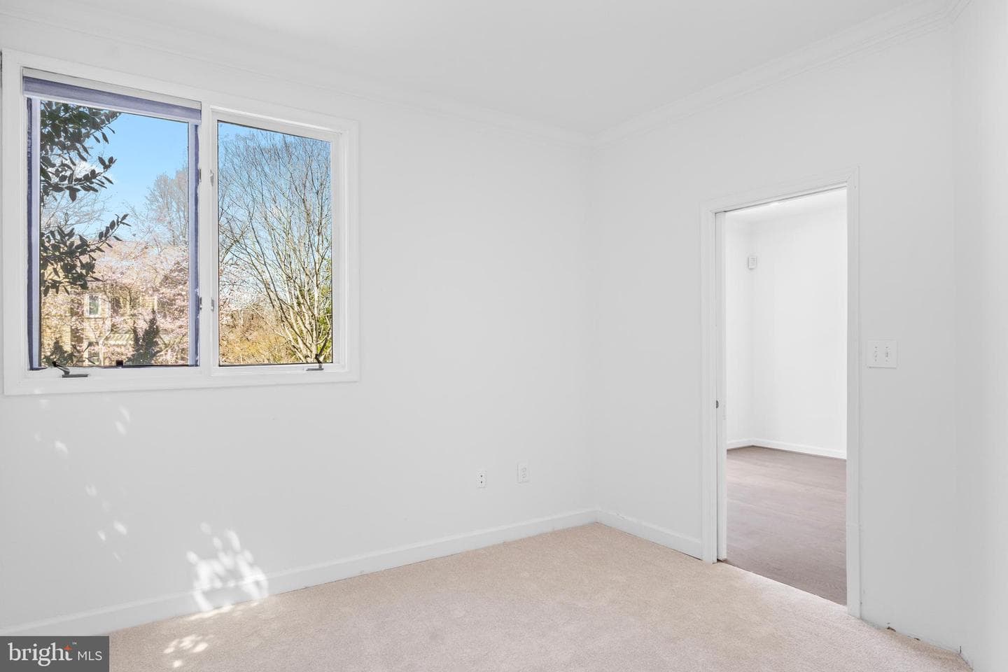 39 Stridesham Court photo 19