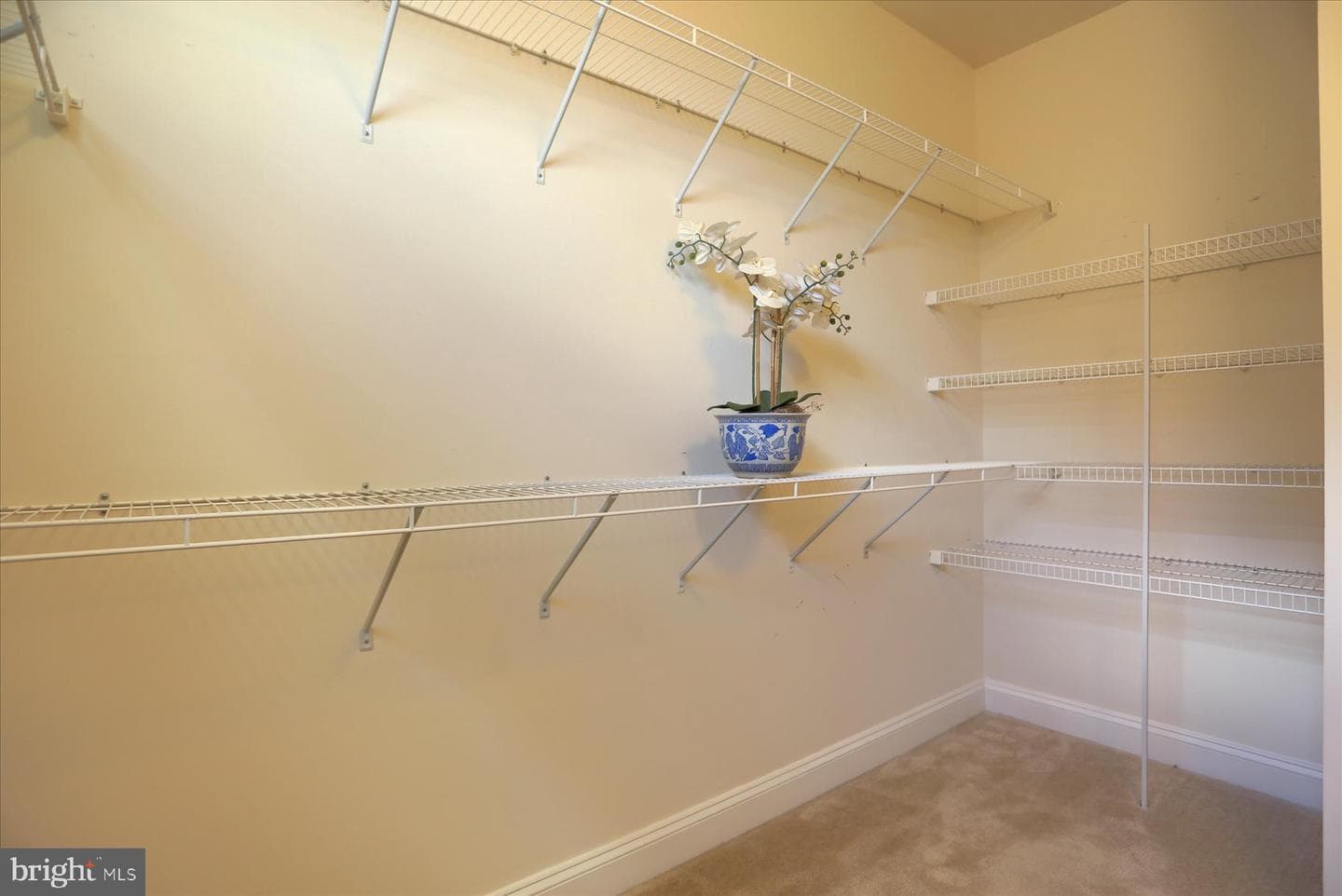 6910 Summit Circle photo 27