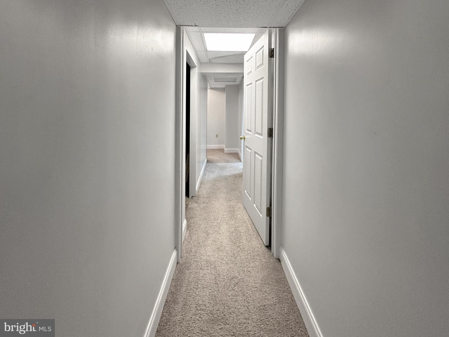 1 Glyndale Court photo 8