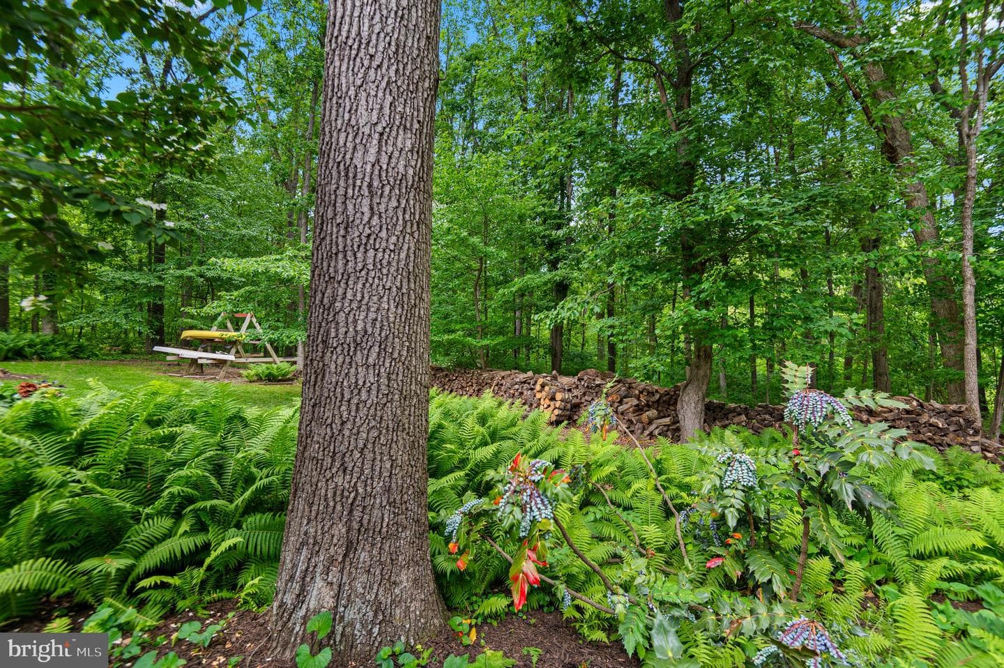 8 Henderson Hill Court photo 42