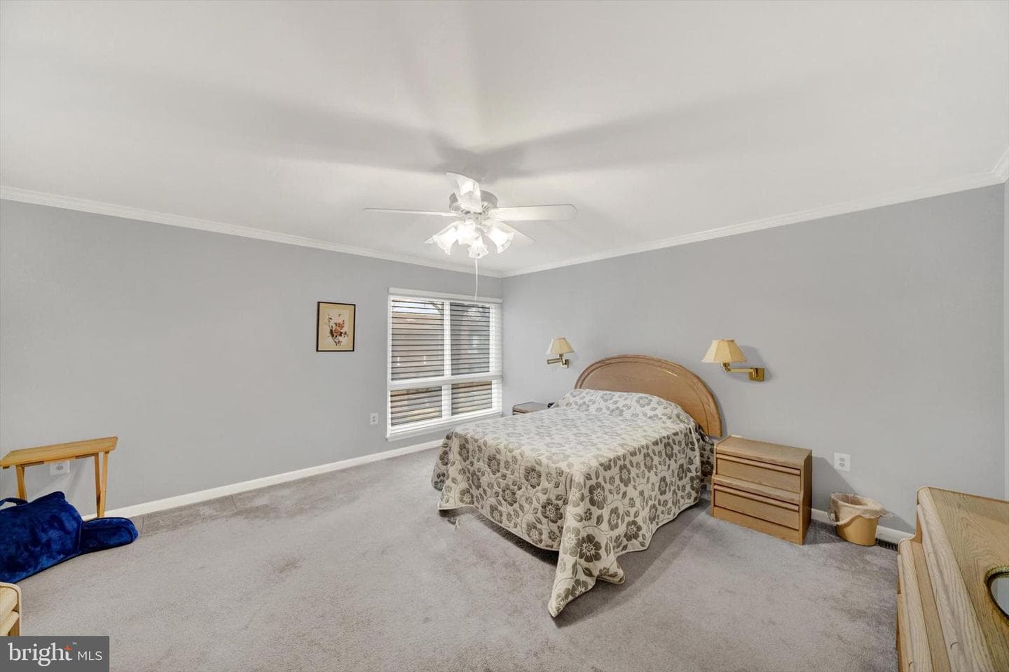 43 Stirrup Court #8 photo 19
