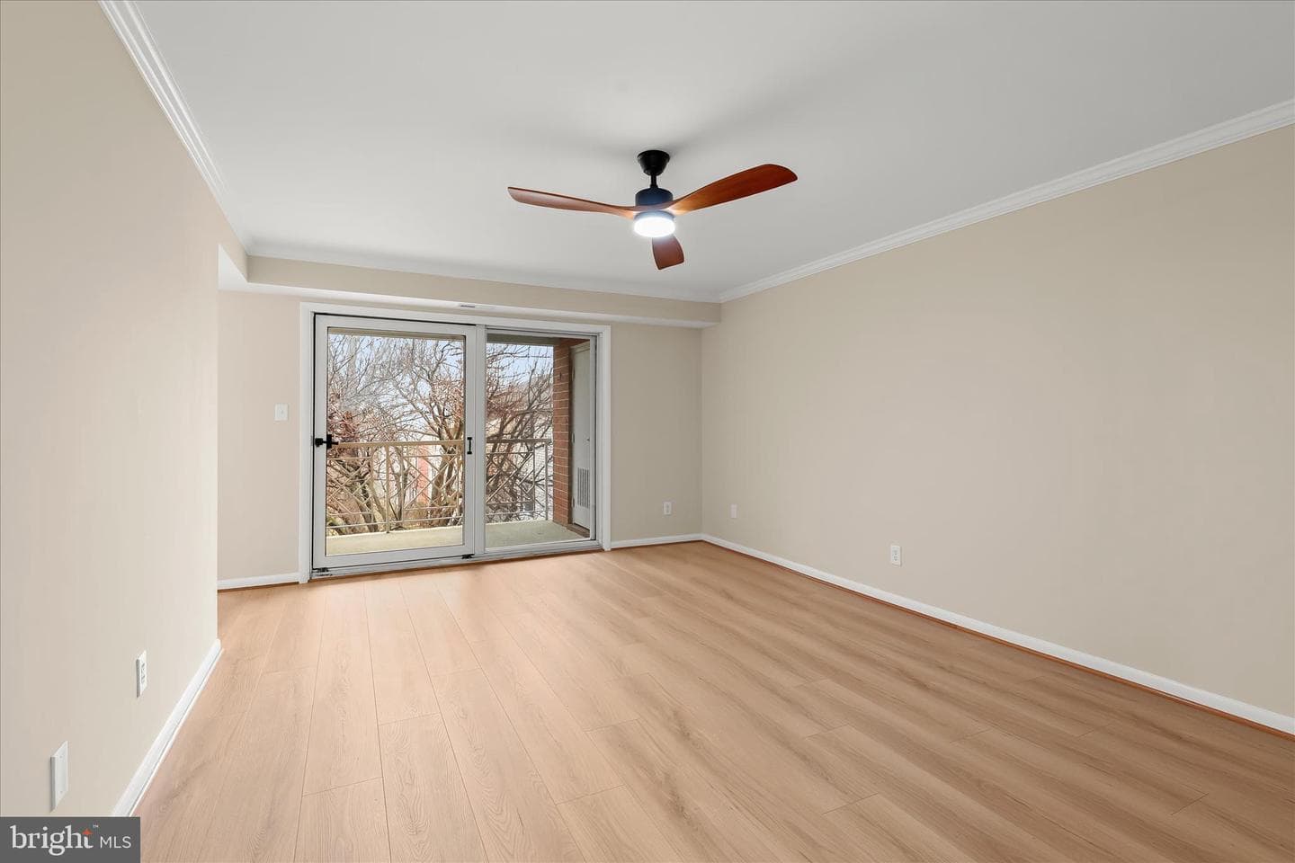 2 Elphin Court #302 photo 5