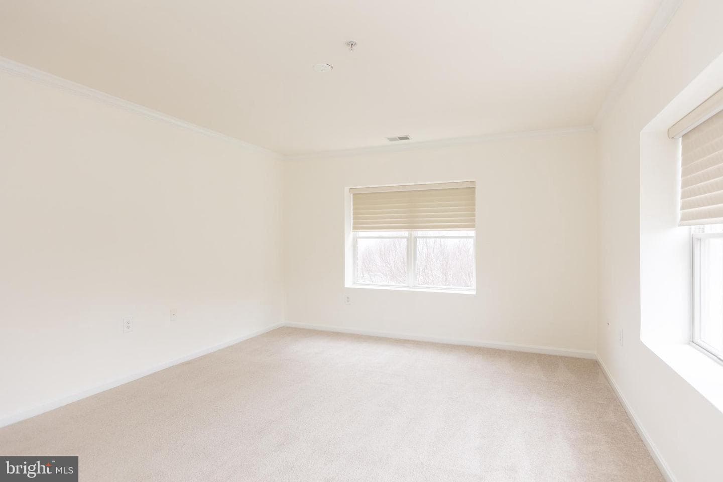 12251 Roundwood #508 photo 18