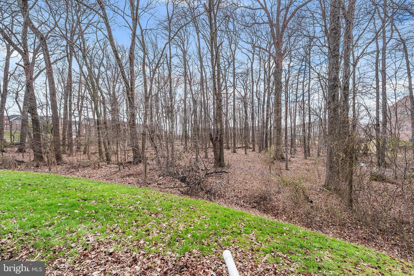 9910 Redwing Drive #9910 photo 26