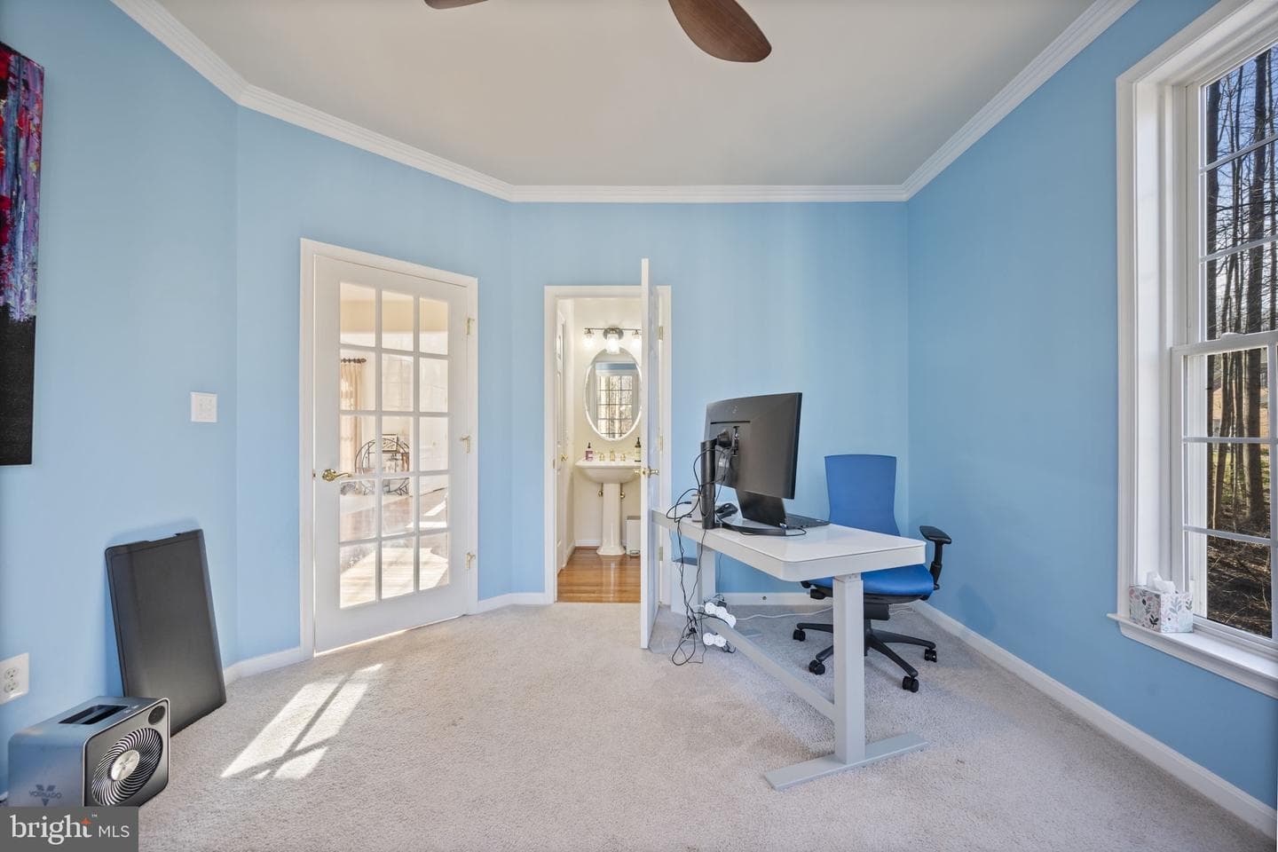 3 Blue Violet Court photo 17