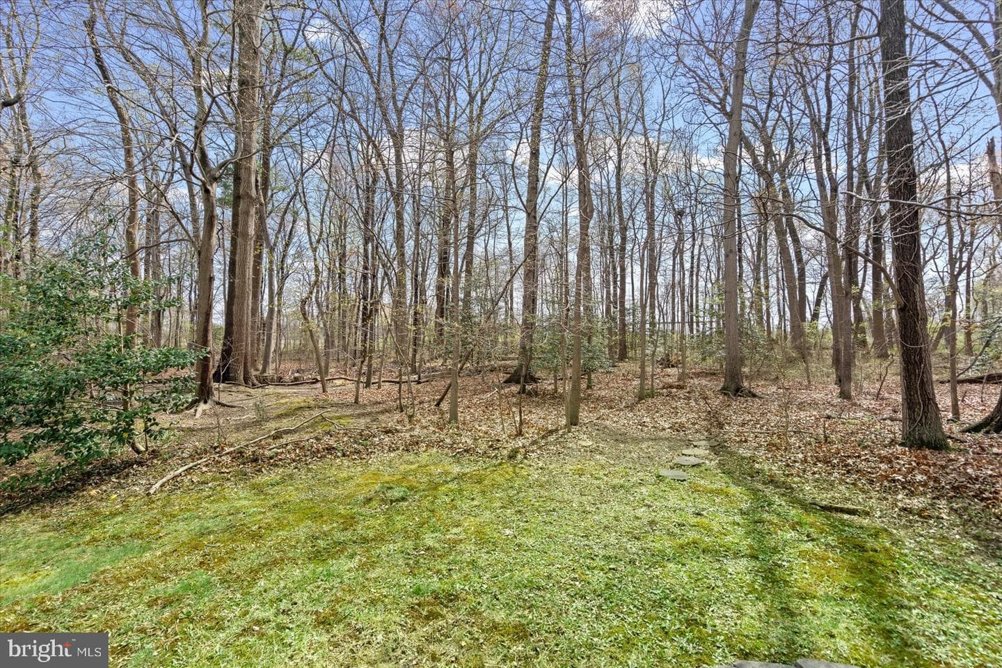 5020 Castlestone Drive photo 34