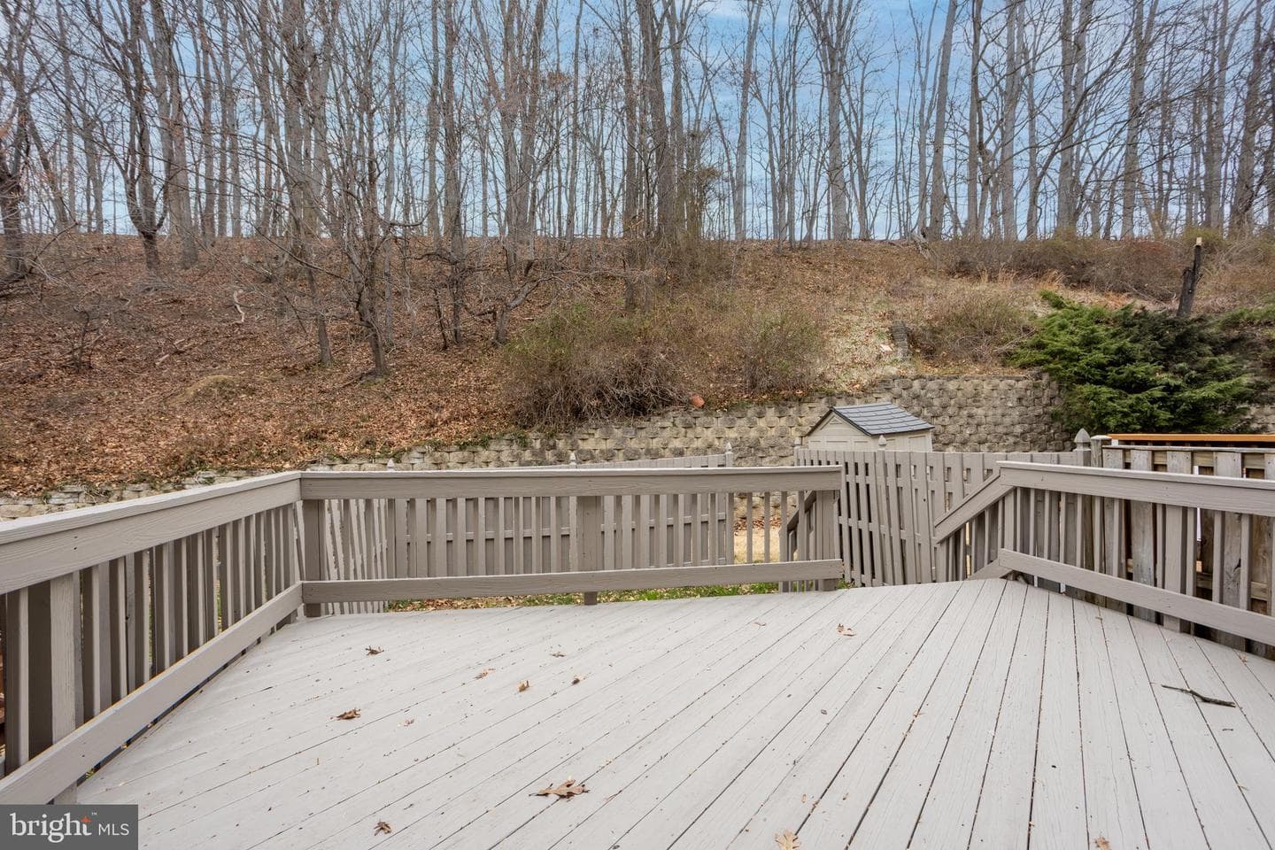9218 Owings Choice Court photo 36