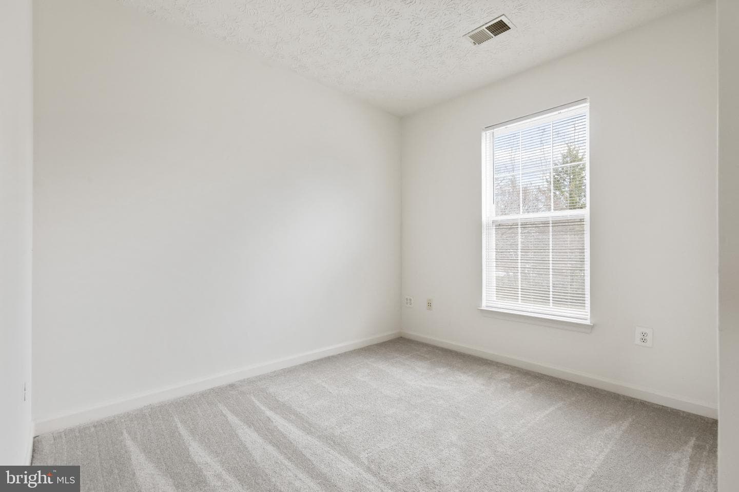 5209 Abbeywood Court photo 17