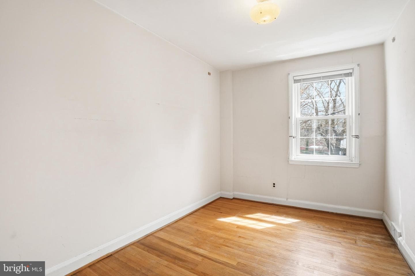 123 Glen Argyle Road photo 22
