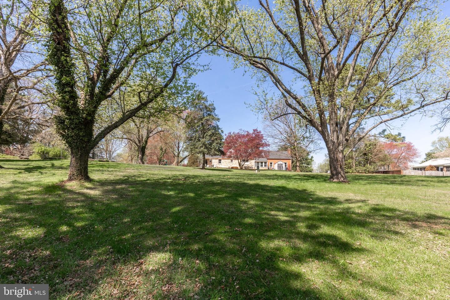 11501 Cedar Lane photo 53