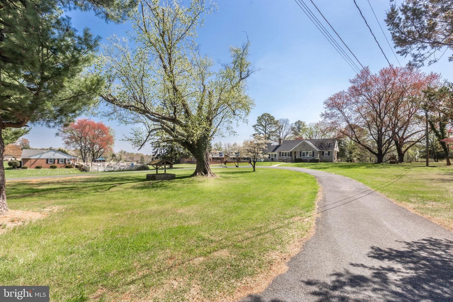 11501 Cedar Lane photo 6