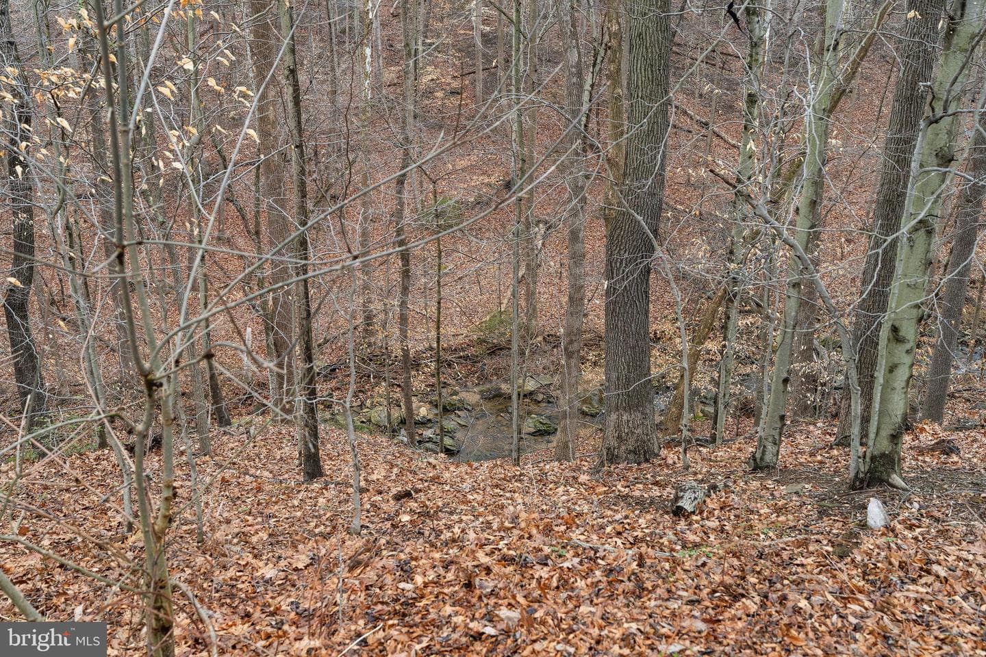 9301 Bellbeck Road photo 33