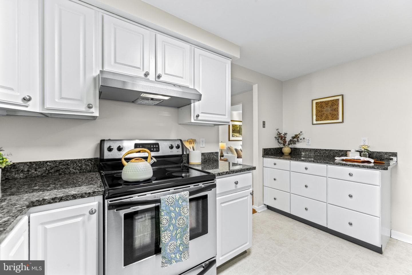 11 Randolph Springs Court photo 19