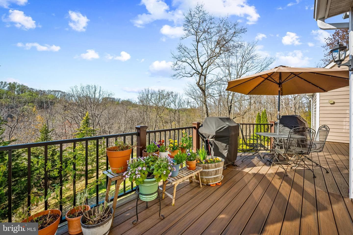 13040 Jerome Jay Drive photo 52