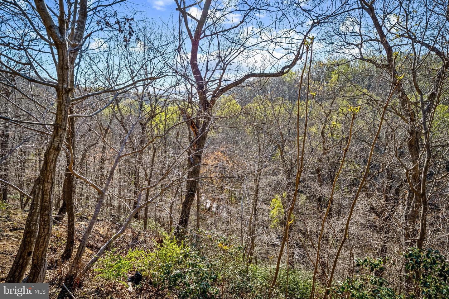 13040 Jerome Jay Drive photo 54