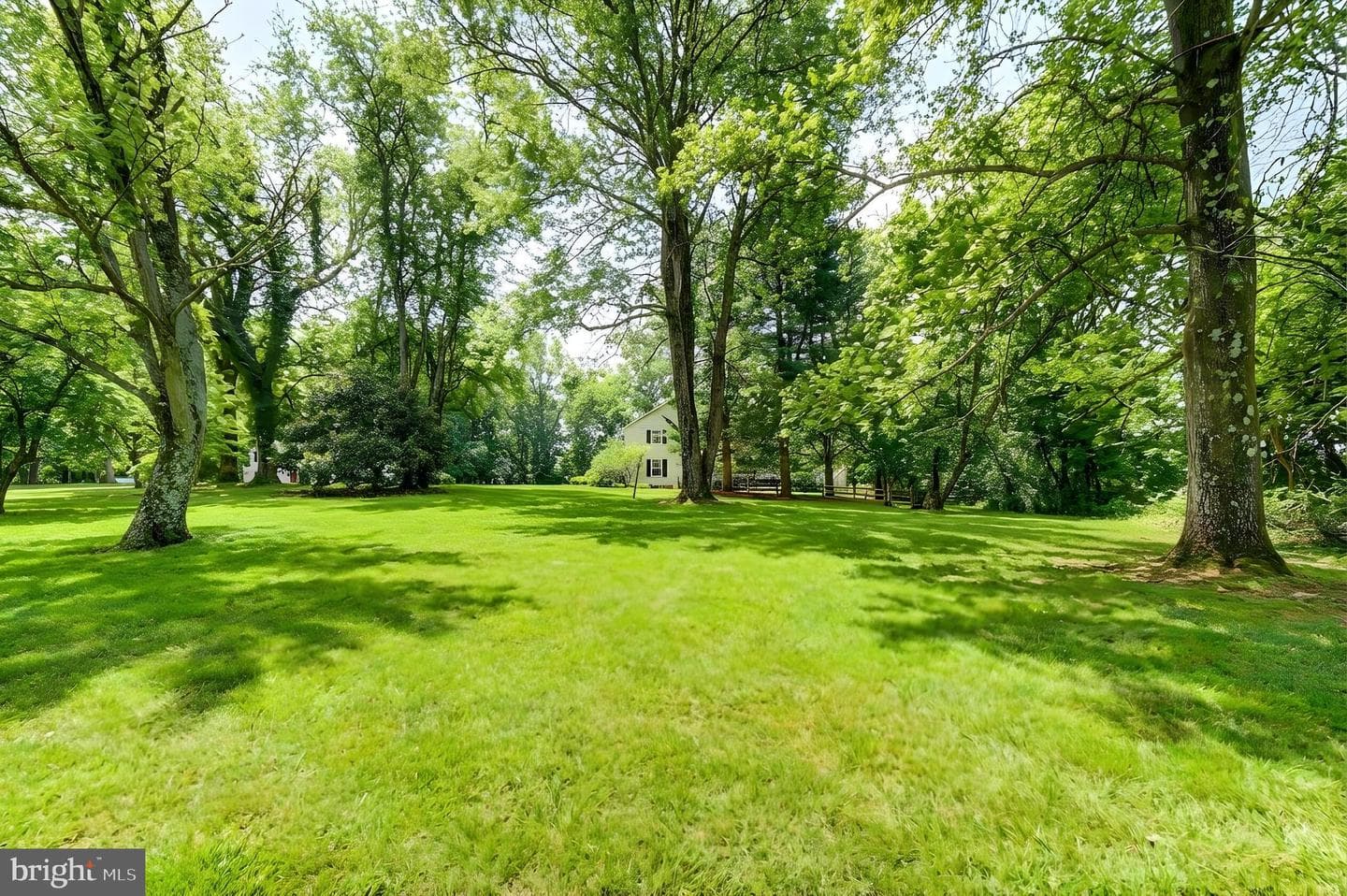 Happy Hollow Road photo 37