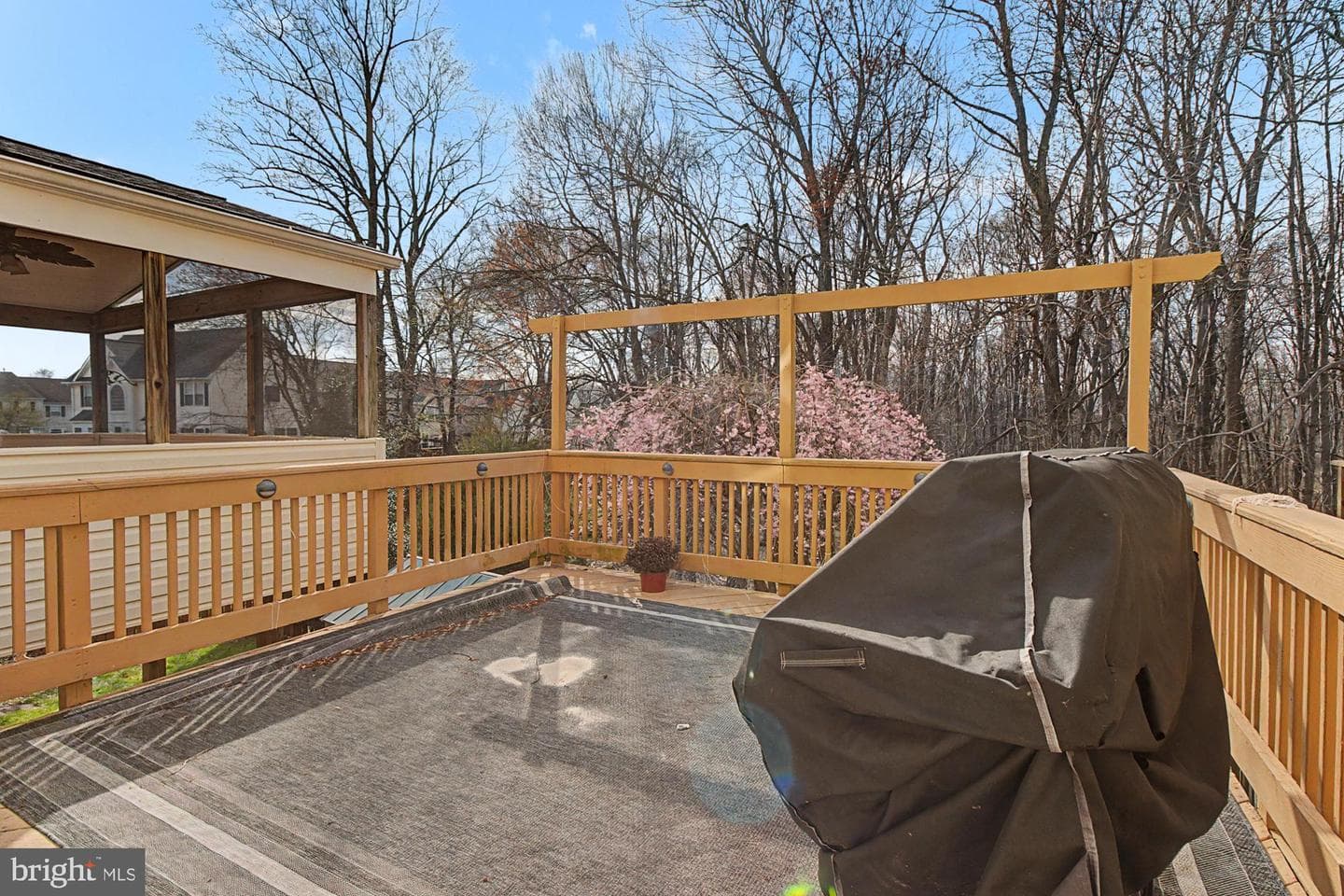 215 Carolstowne Road photo 42