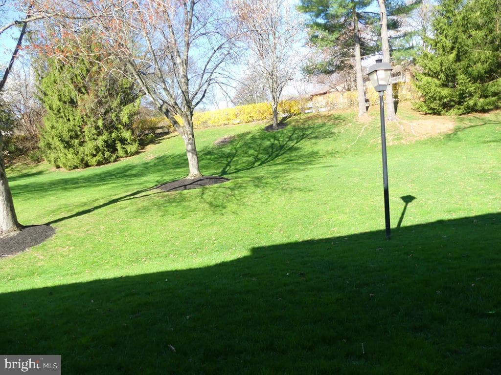 14206 Dove Creek Way #103 photo 29