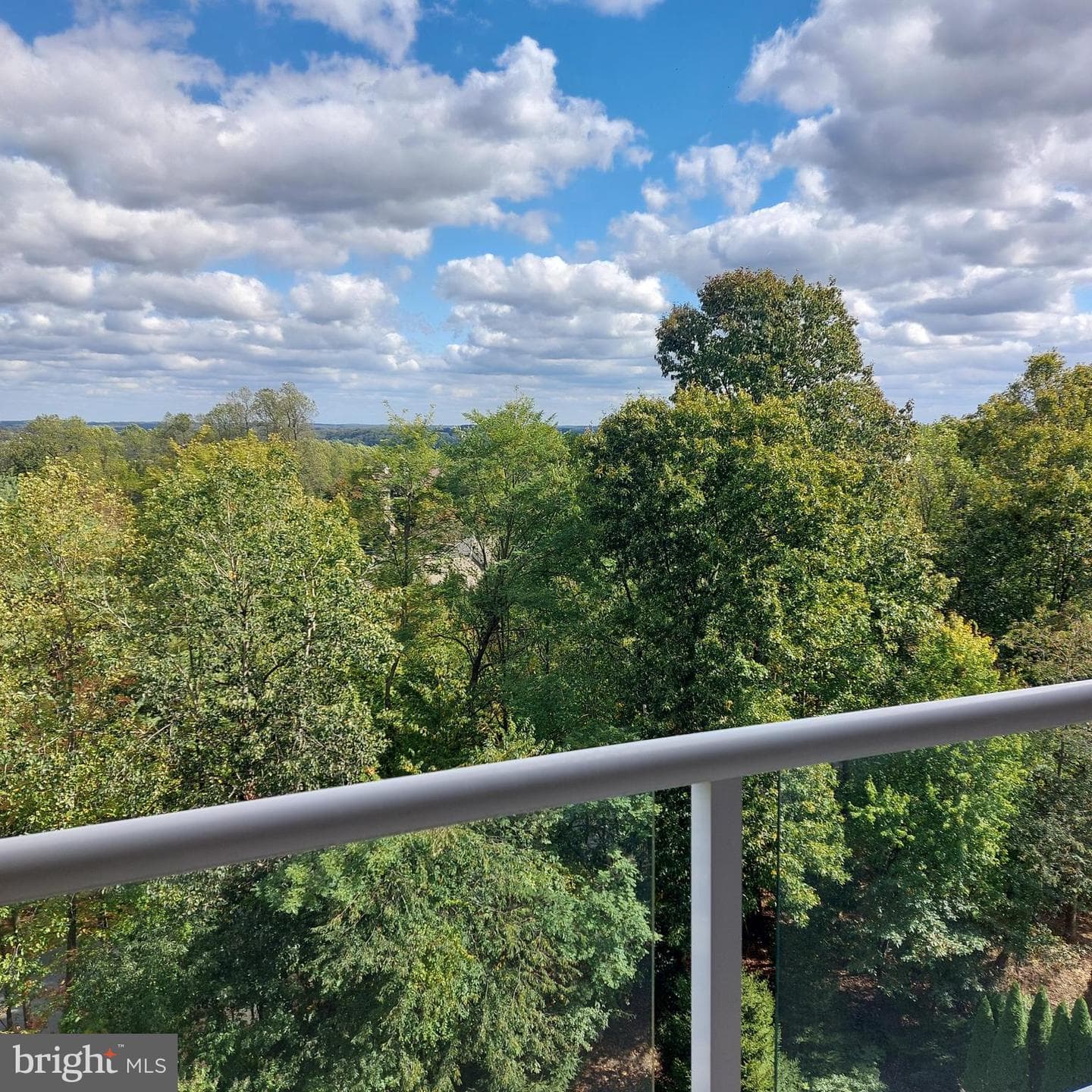 12240 Roundwood Road #704 photo 20