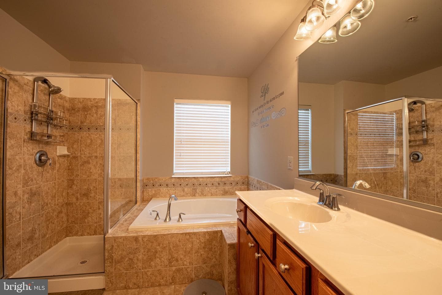 8515 Stansbury Lake Drive photo 40
