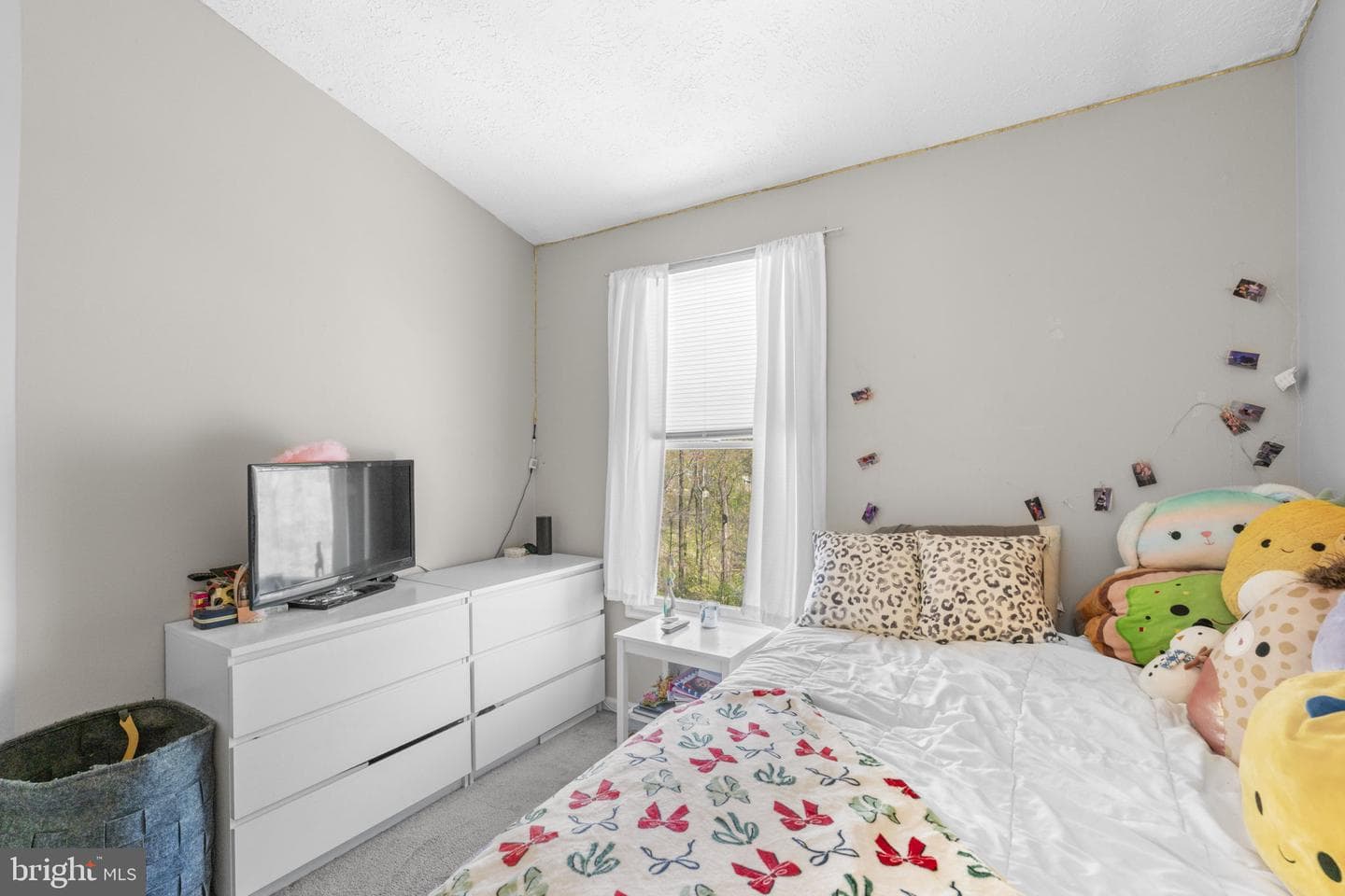 8247 Berryfield Drive photo 21