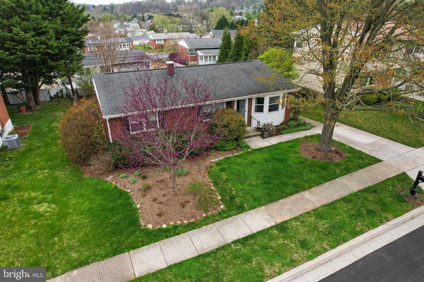 10113 Daventry Drive photo 46