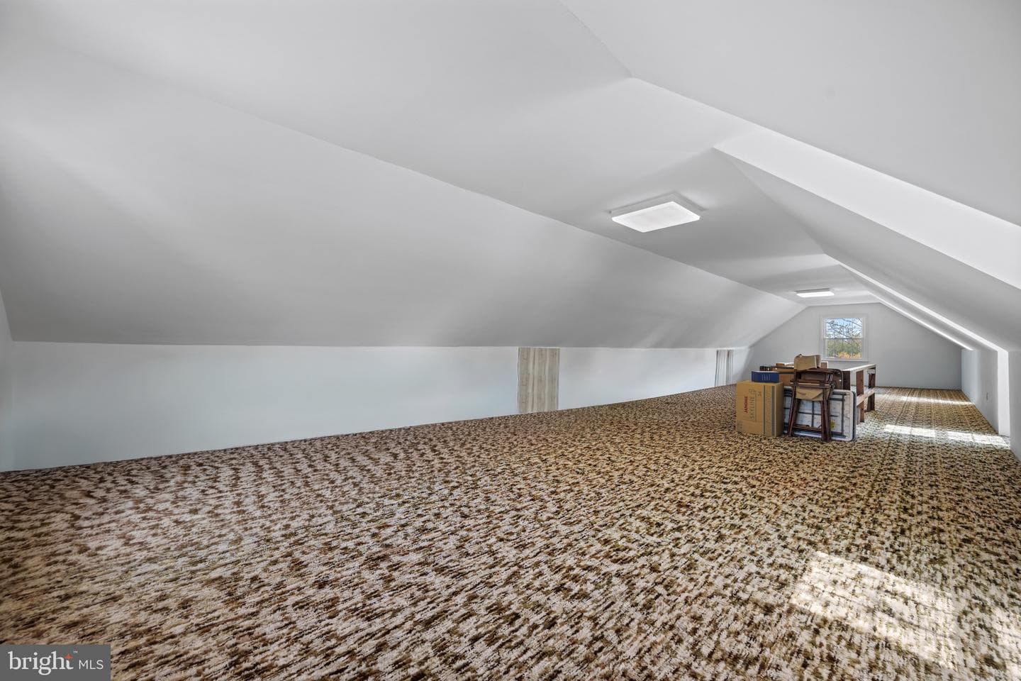 13707 Killarney Court photo 42