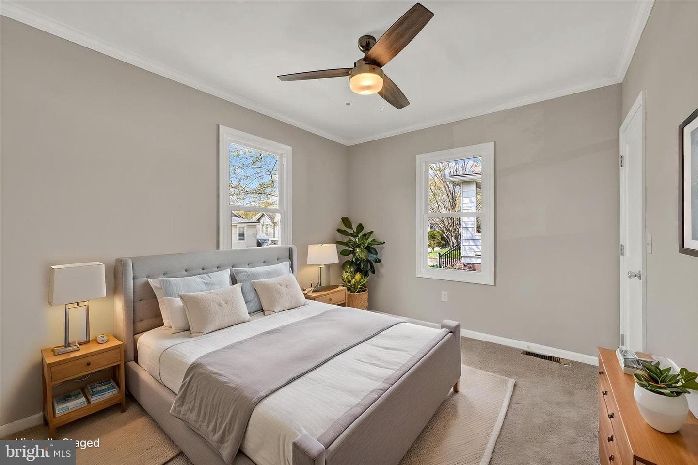 100 Fuller Avenue photo 16