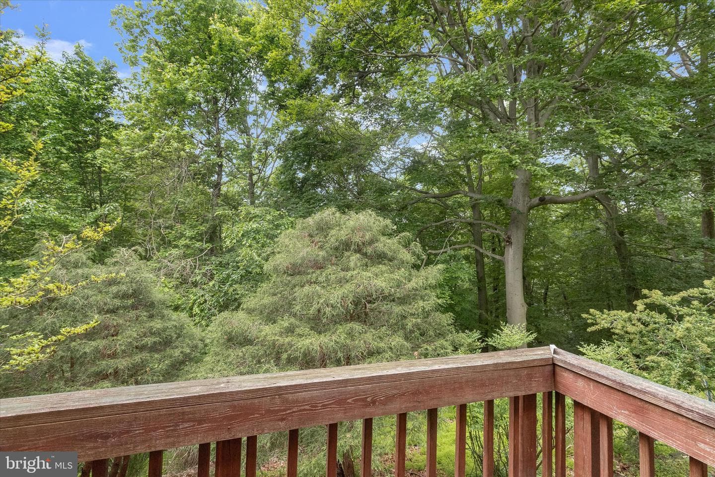 728 Marianne Lane photo 39