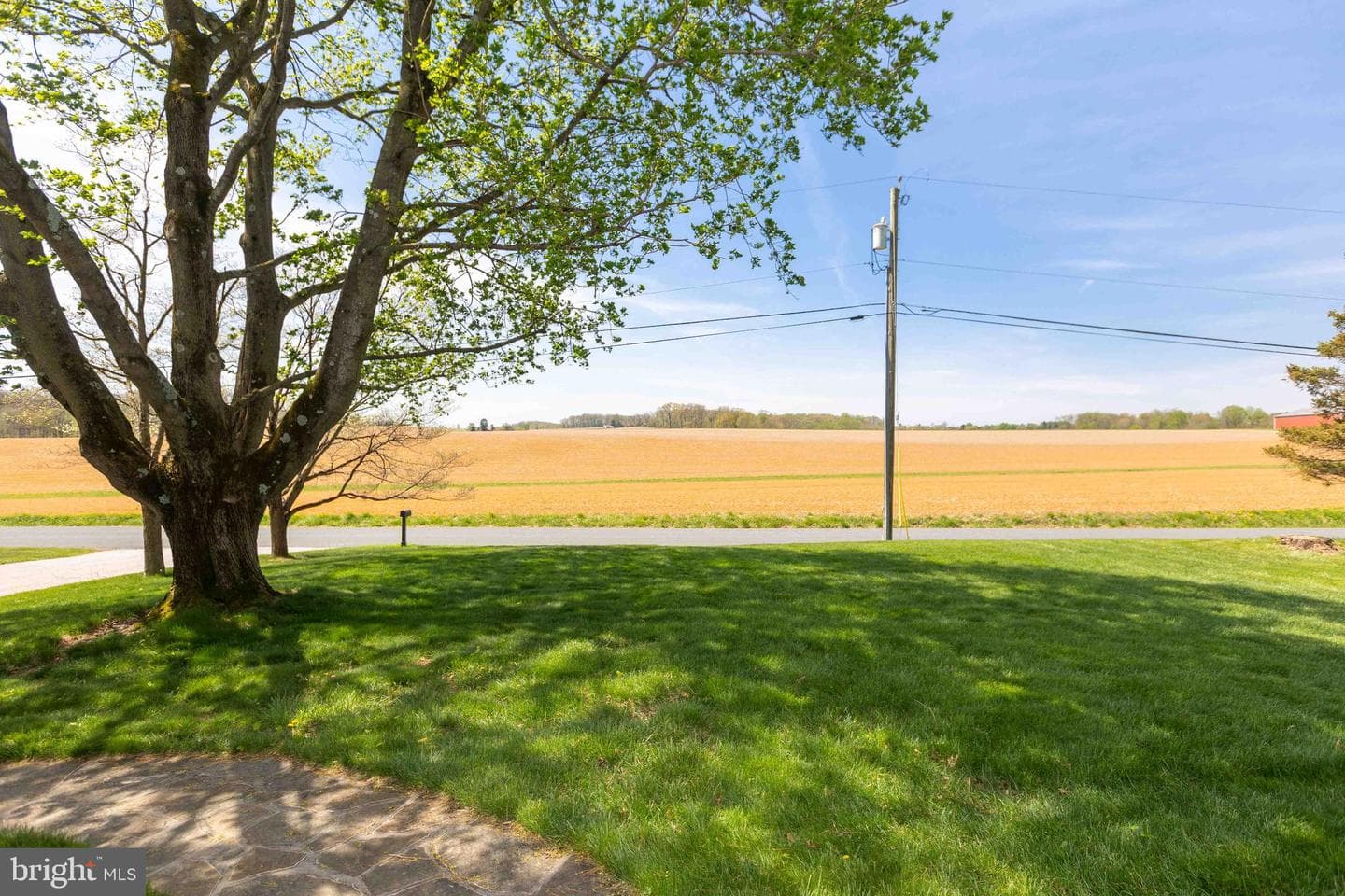 17605 Grace Road photo 45