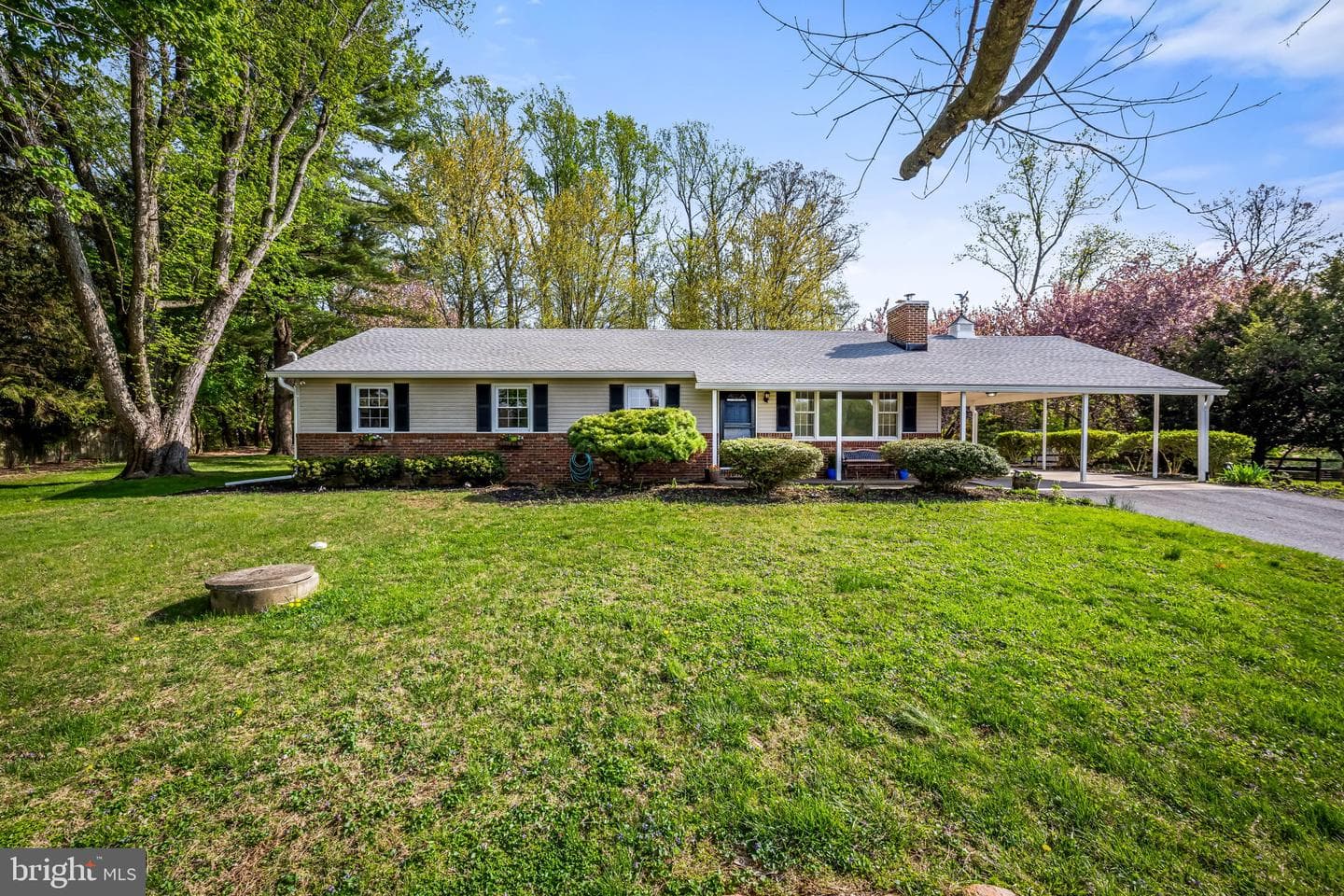 14009 Blenheim Road N photo 2