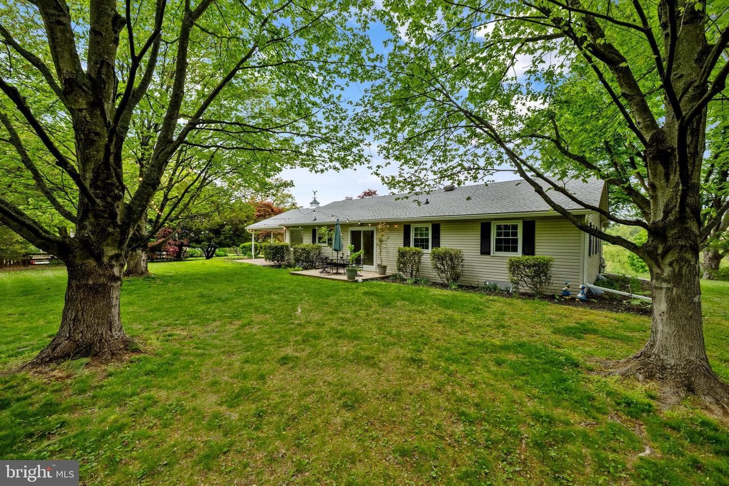 14009 Blenheim Road N photo 52