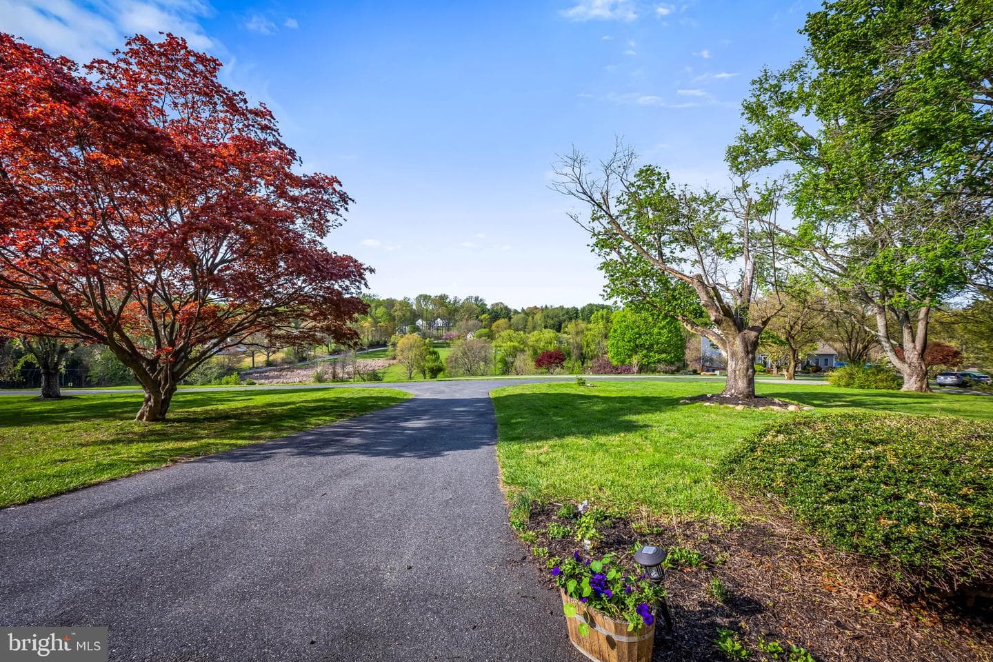 14009 Blenheim Road N photo 6