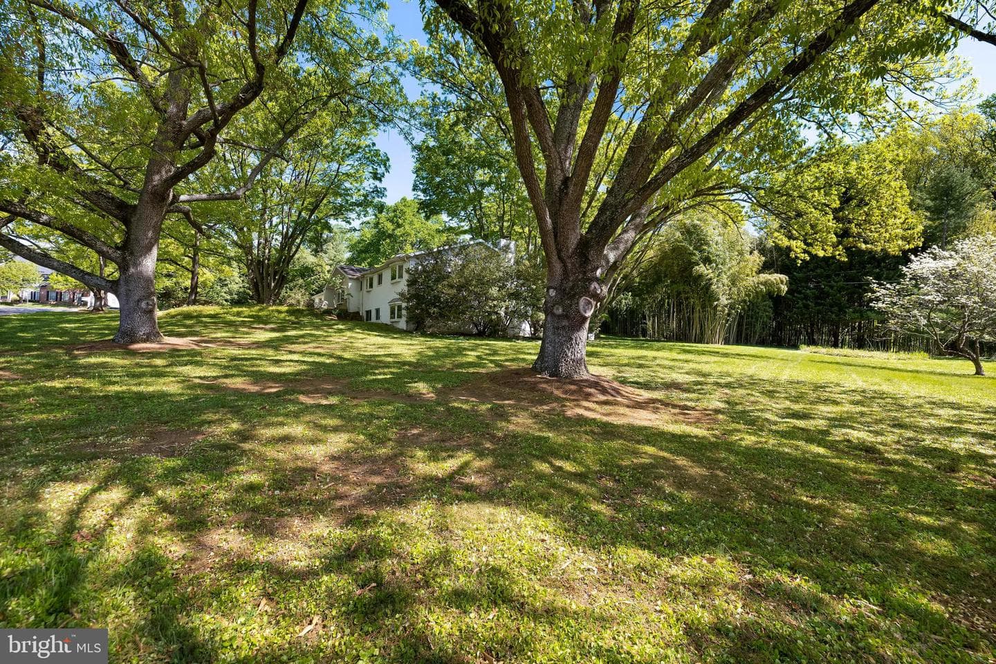 1 Springbriar Lane photo 5