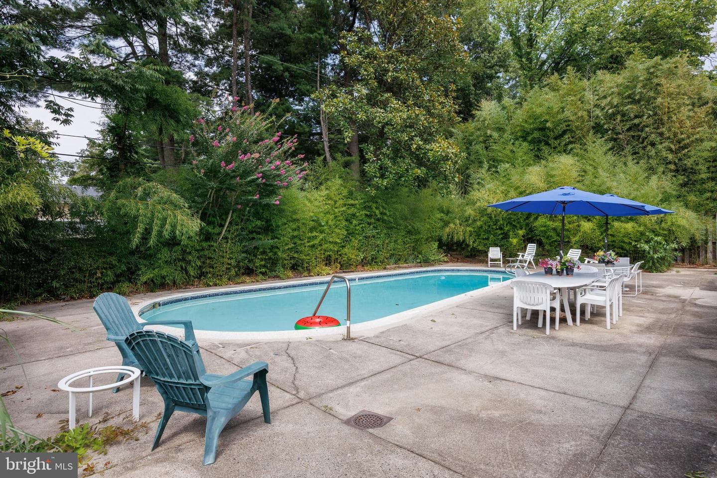 2104 Cedar Circle Drive photo 60