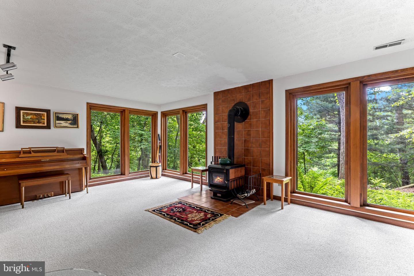10 Chesterfield Court photo 29