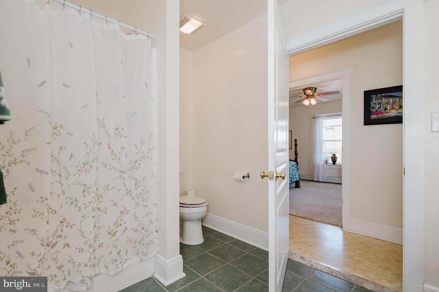 10 Elmont Avenue photo 33