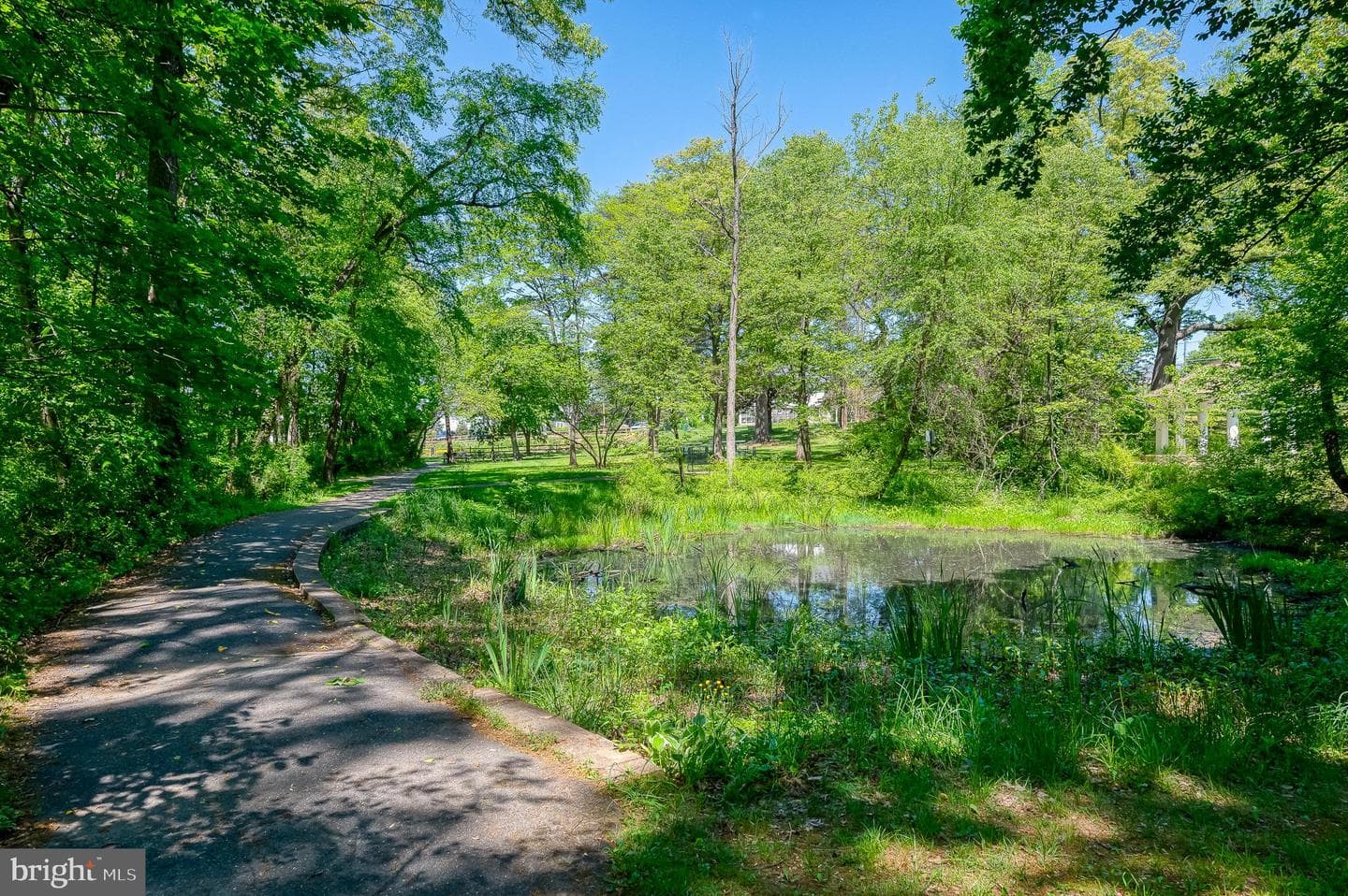 10 Elmont Avenue photo 62