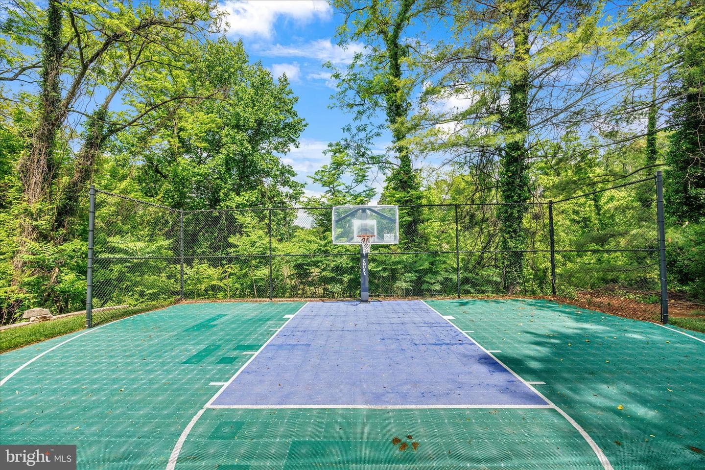 8 Rolling Farm Court photo 60
