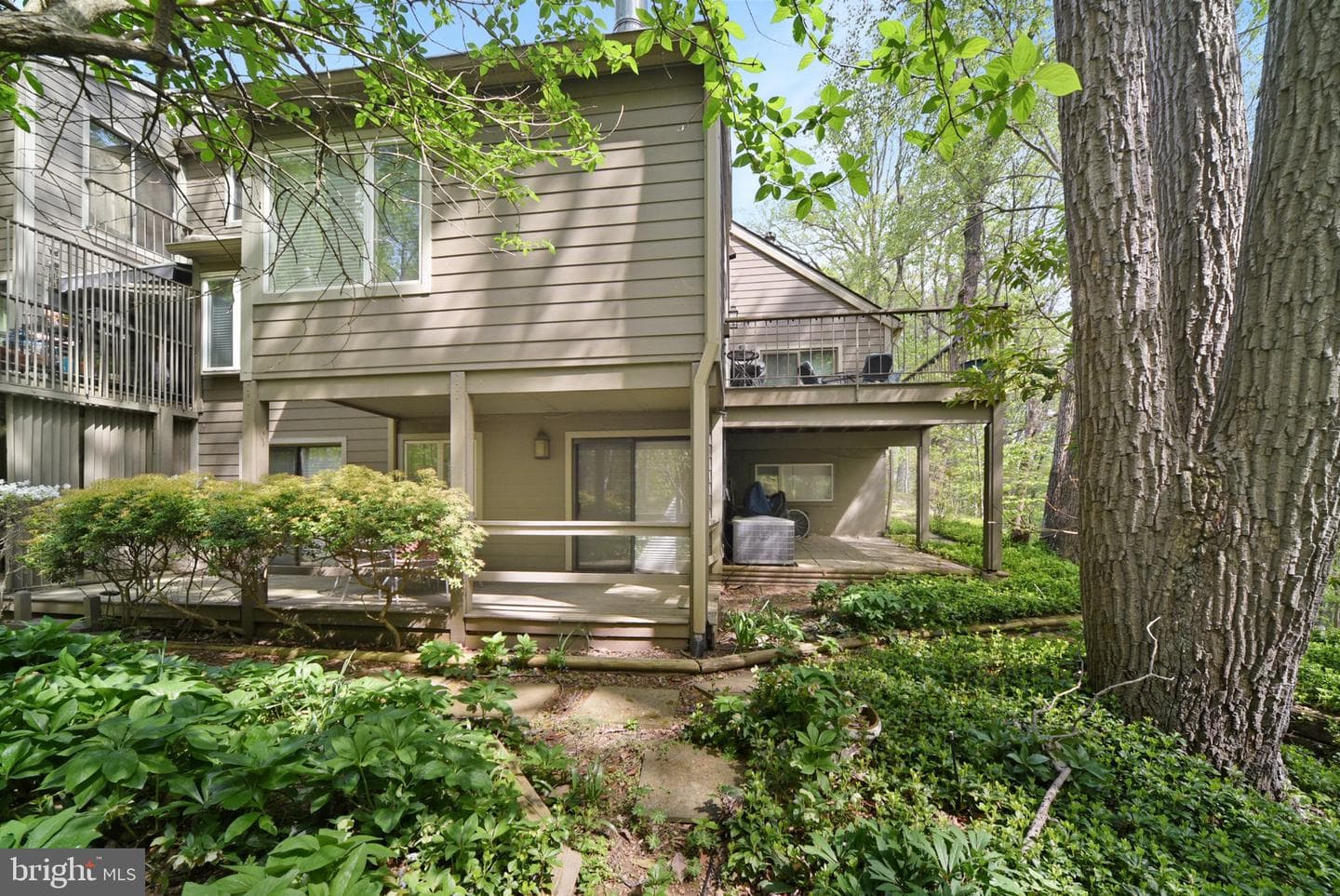 123 Beech Bark Lane #12 photo 38
