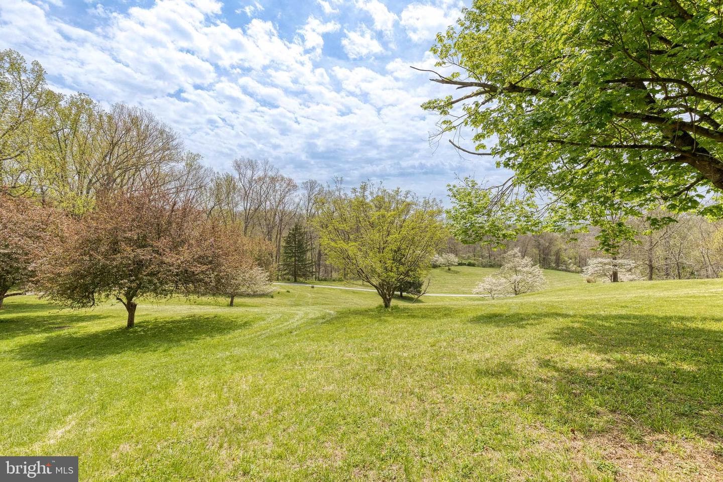15701 Home Road photo 69