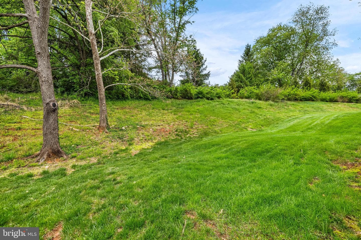 29 Iron Mill Garth photo 41